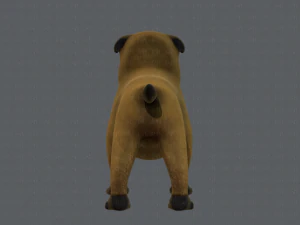 dog base cartoonv04 3D Model