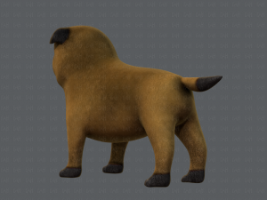 dog base cartoonv04 3D-Modell