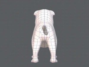 dog base cartoonv04 3D Model