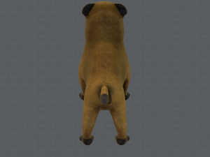 dog base cartoonv04 3D-Modell