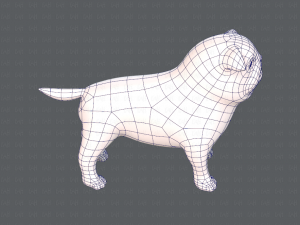 dog base cartoonv04 3D-Modell