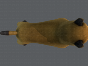 dog base cartoonv04 3D-Modell