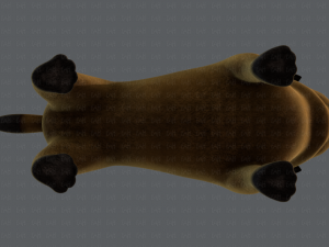 dog base cartoonv04 3D-Modell