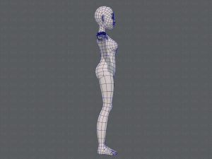 base mesh woman 16 3D Model
