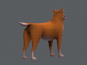 dog base cartoonv05 3D Модель