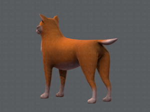 dog base cartoonv05 3D Модель