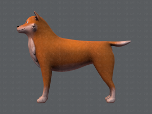 dog base cartoonv05 3D Модель