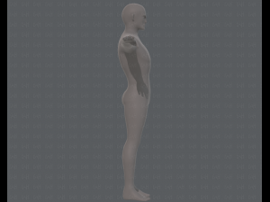 base mesh man character v15 3D Модель