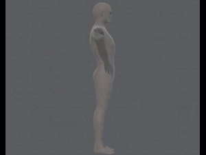 base mesh man character v15 3D Model