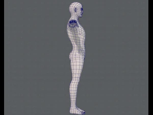 base mesh man character v15 3D Model