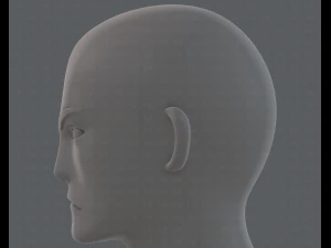base mesh man character v15 3D Model