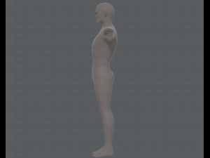 base mesh man character v15 3D Модель
