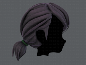 3d hair style for girl v53 3D Модель