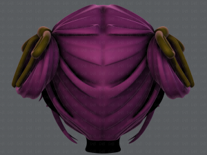 3d hair style for girl v54 Modelo 3D