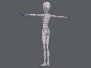 base mesh man character v16 Modello 3D