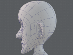 base mesh man character v16 Modello 3D