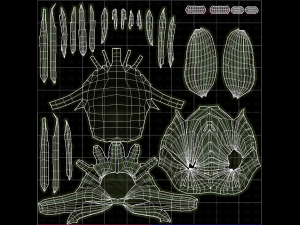 3d hair style for girl v58 3D Model