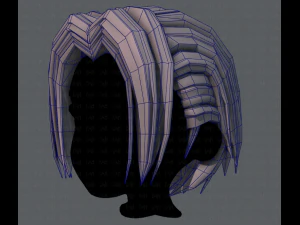 3d hair style for boy v55 3D Model