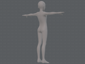base mesh man character v17 3D Model