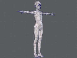 base mesh man character v17 3D Model