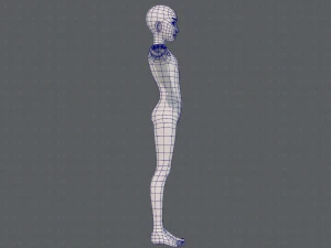 base mesh man character v17 3D Model