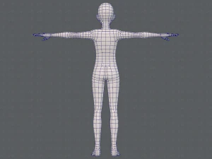 base mesh man character v17 3D Model