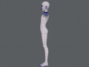 base mesh man character v17 3D Model