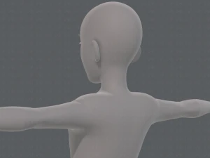 base mesh man character v17 3D Model