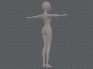 base mesh woman 17 Model 3D