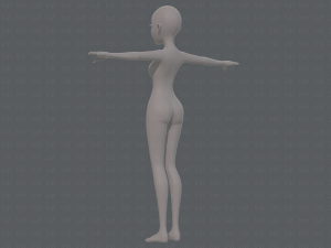 base mesh woman 17 Model 3D