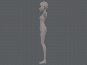 base mesh woman 17 Model 3D