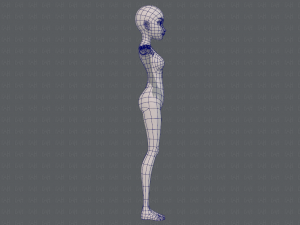 base mesh woman 17 Model 3D