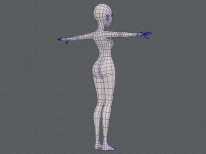 base mesh woman 17 Model 3D