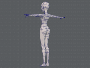 base mesh woman 17 Model 3D