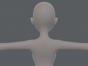 base mesh woman 17 Model 3D