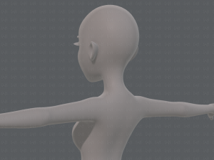 base mesh woman 17 Model 3D