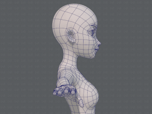 base mesh woman 17 Model 3D