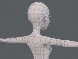 base mesh woman 17 Model 3D