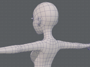 base mesh woman 17 Model 3D
