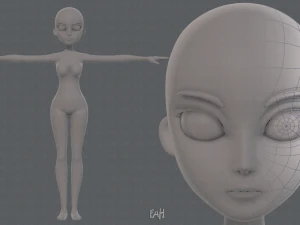 wanita jaring dasar 18 Model 3D