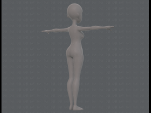 base mesh woman 18 3D Модель