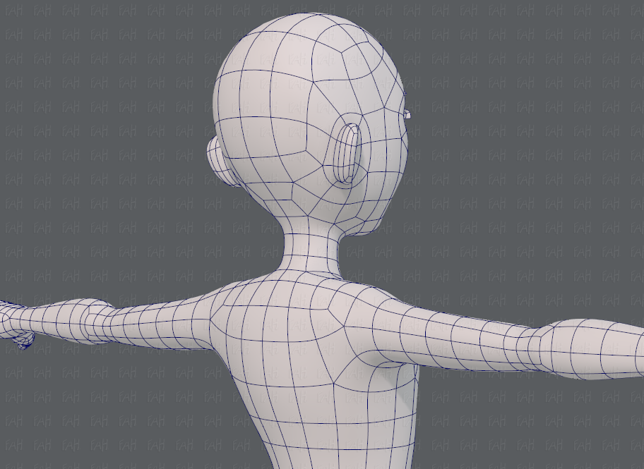 Base Mesh men.