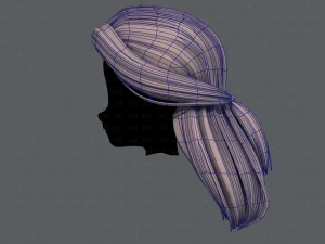 3d hair style for girl v61 3D Model