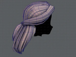 3d hair style for girl v61 3D Model