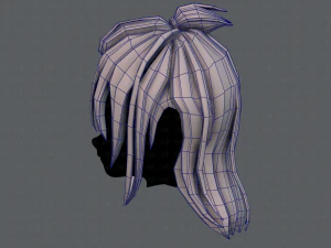 3d hair style for girl v62 3D Model