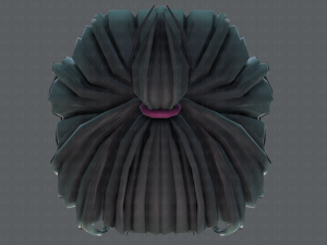 3d hair style for girl v62 3D Модель