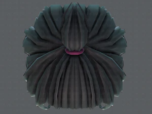 3d hair style for girl v62 3D Model