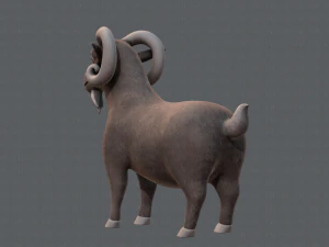 sheep v01 3D Model