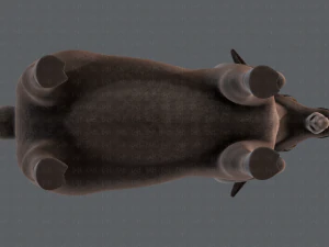 sheep v01 3D Model