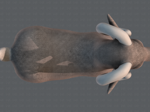 sheep v01 3D Model